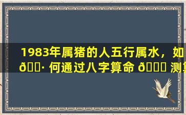 1983年属猪的人五行属水，如 🕷 何通过八字算命 🐘 测算运势、吉凶